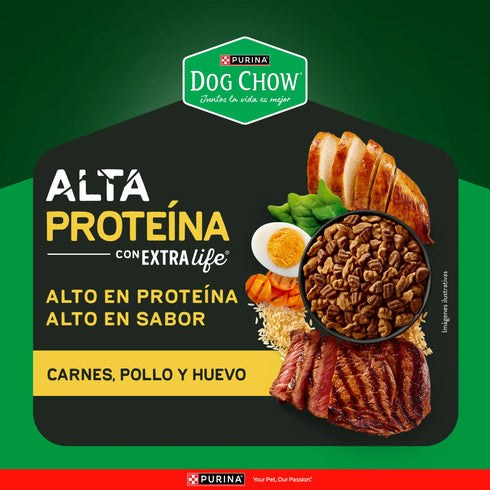 CUIDO DOG CHOW 2000G AL PROTEINA ADULTOS