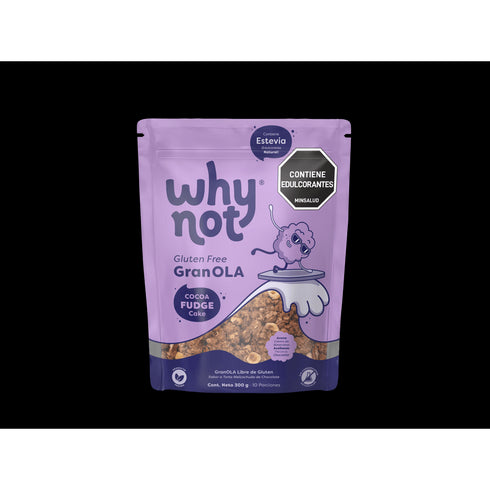 granola why not 300g torta de chocolate