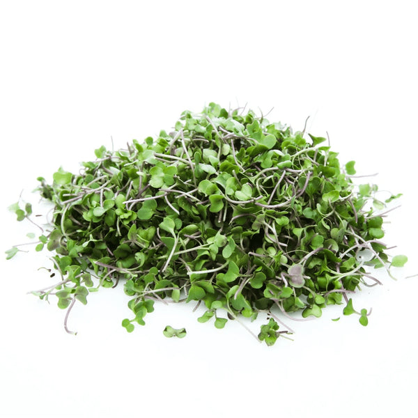 BROTES DE RUGULA HORTIFRESCO 30G