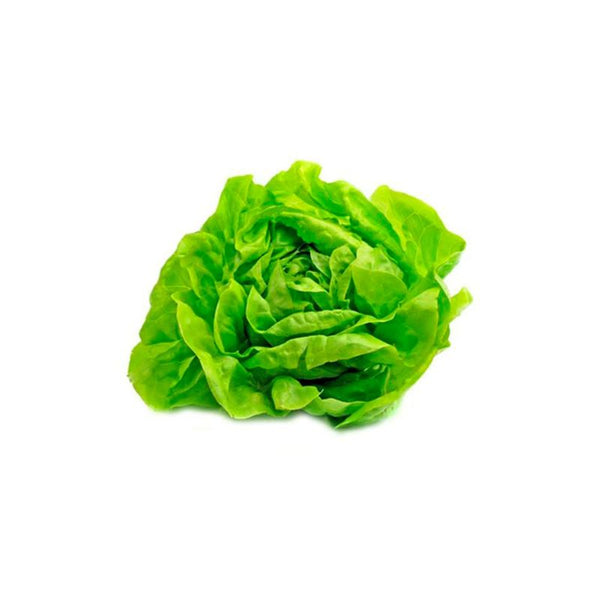 LECHUGA HORTIFRESCO 120G LISA ORGANICA