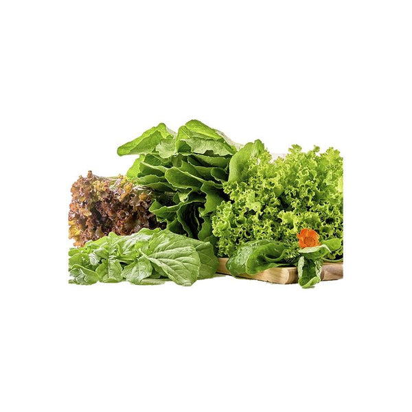 BOUQUET DE LECHUGA TIERNAS 300G BOL VEGG