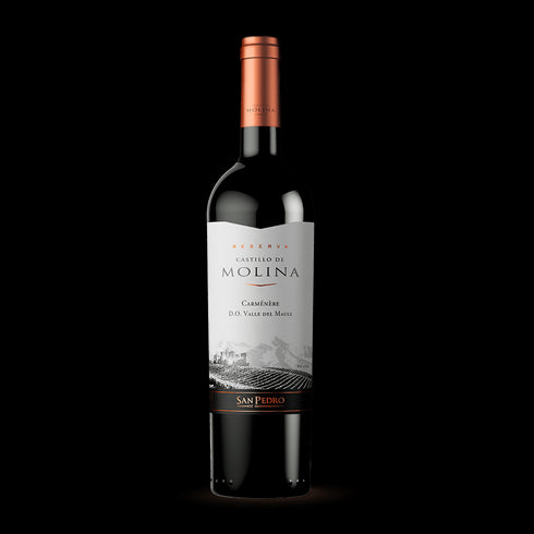 VINO CASTILLO DE MOLINA 750ML CARMENERE