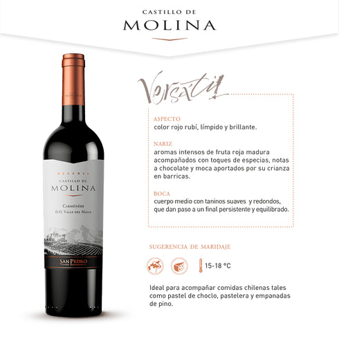 VINO CASTILLO DE MOLINA 750ML CARMENERE