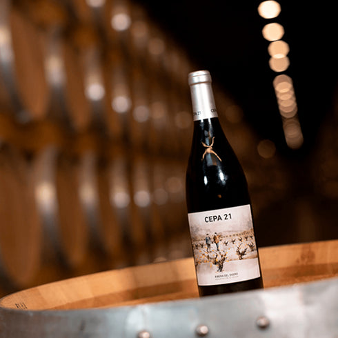 VINO FINO 750ML CEPA 21 TINTO