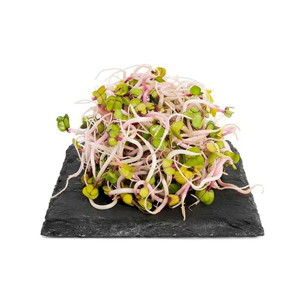 BROTES RABANO HORTIFRESCO 30G