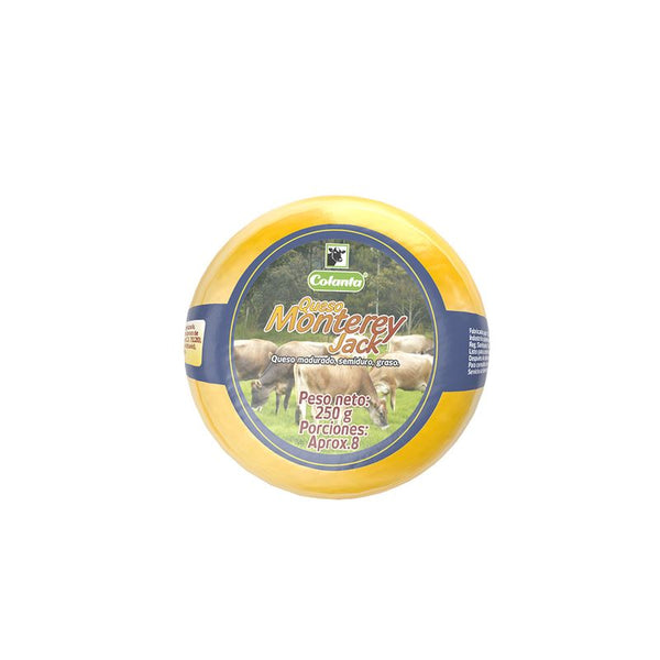 QUESO COLANTA 250G MONTERREY JACK