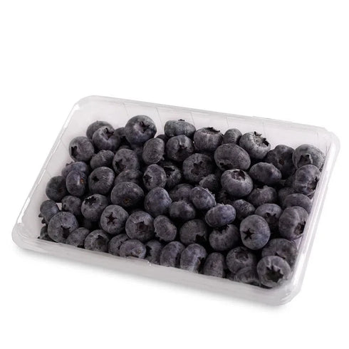 ARANDANO 125GR HORTIFRUT