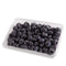ARANDANO 125GR HORTIFRUT