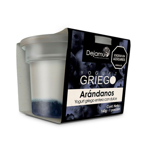 YOGURT GRIEGO DEJAMU 160G ARANDANOS
