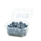 ARANDANOS GROWBLUE 250GR