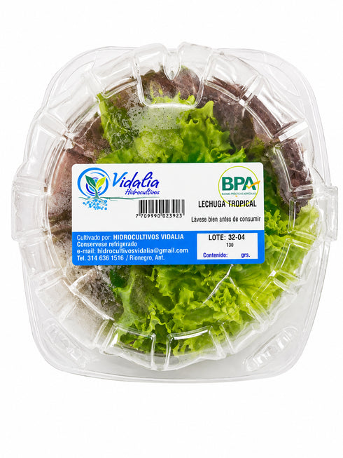 LECHUGA TROPICAL VIDALIA 130G PET
