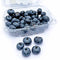 ARANDANOS FRUTY BLUE 125GR