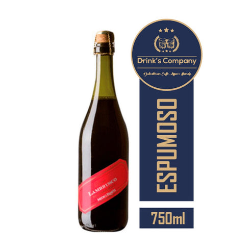 VINO MEDICI ERMETE 750ML LAMBRUSCO ROSSO