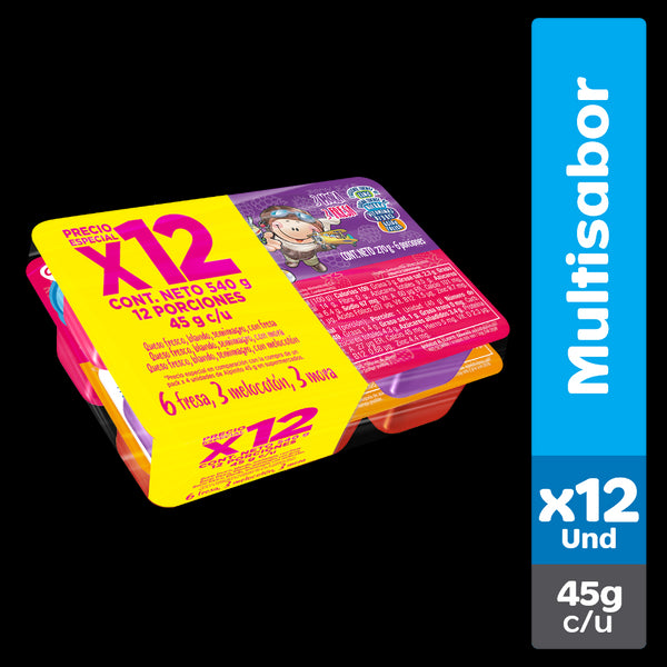 ALPINITO ALPINA 12U 45G SURTIDO