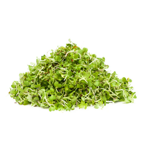 BROTES DE MIZUNA POMARIO