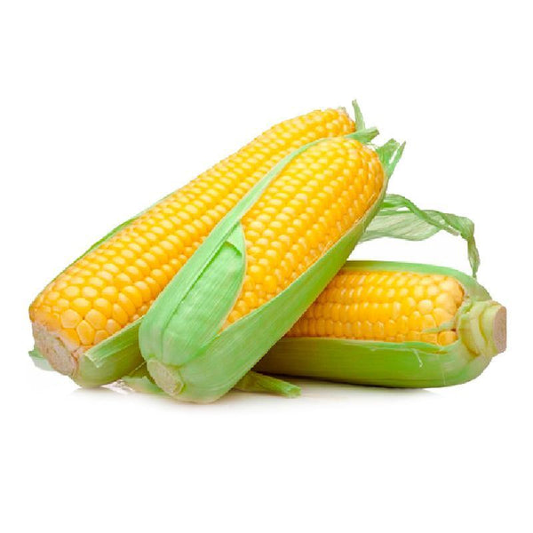 CHOCOLO DULCE*BANDEJA 1000gr