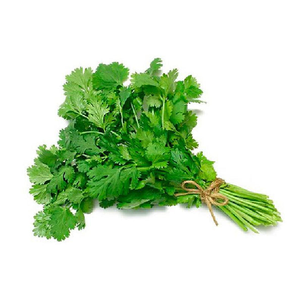 CILANTRO Aprox 300gr