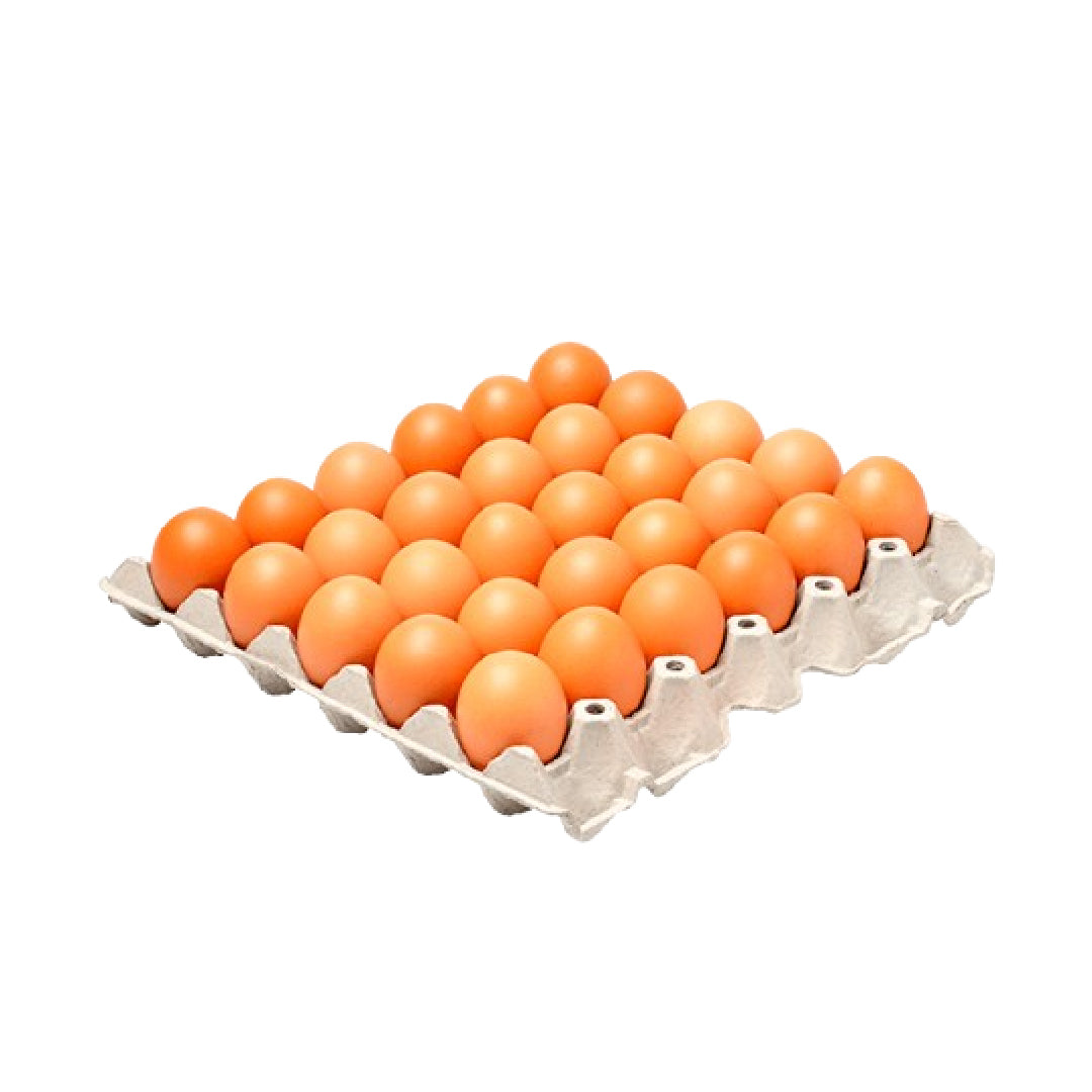 HUEVO AVINAL AMARRE AA X 30U